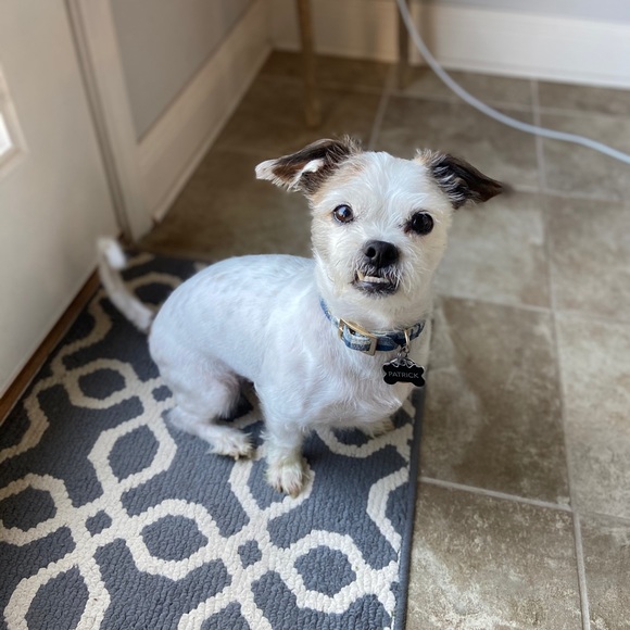 Meet your Posher, Joleen - Picture 3 of 10